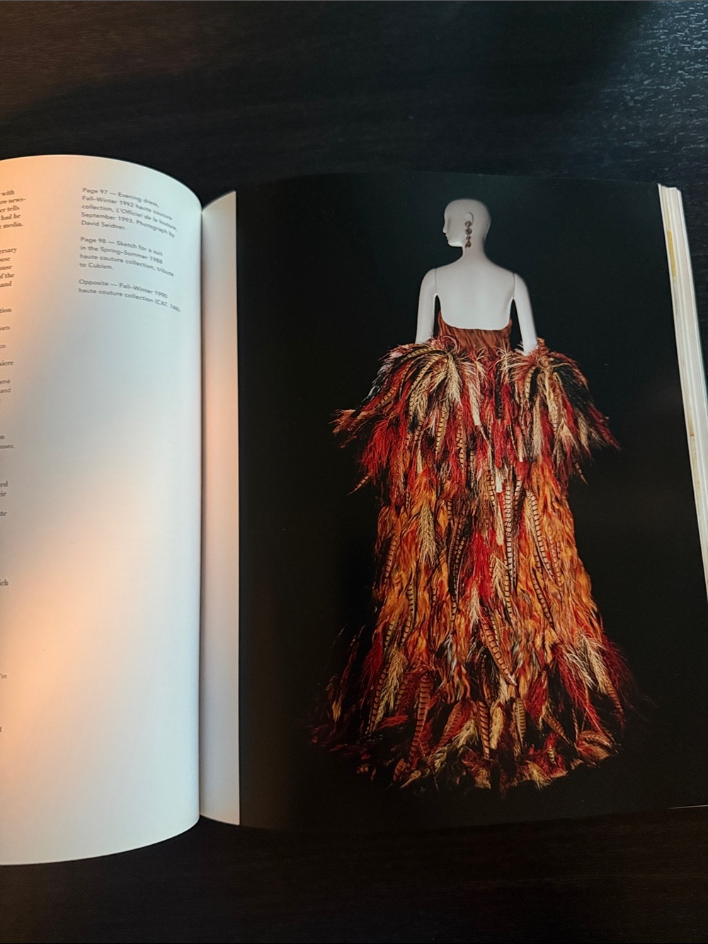 Yves Saint Laurent by Florence Muller and Farid Chenoune (2010, Hardcover) - Picture 9 of 11